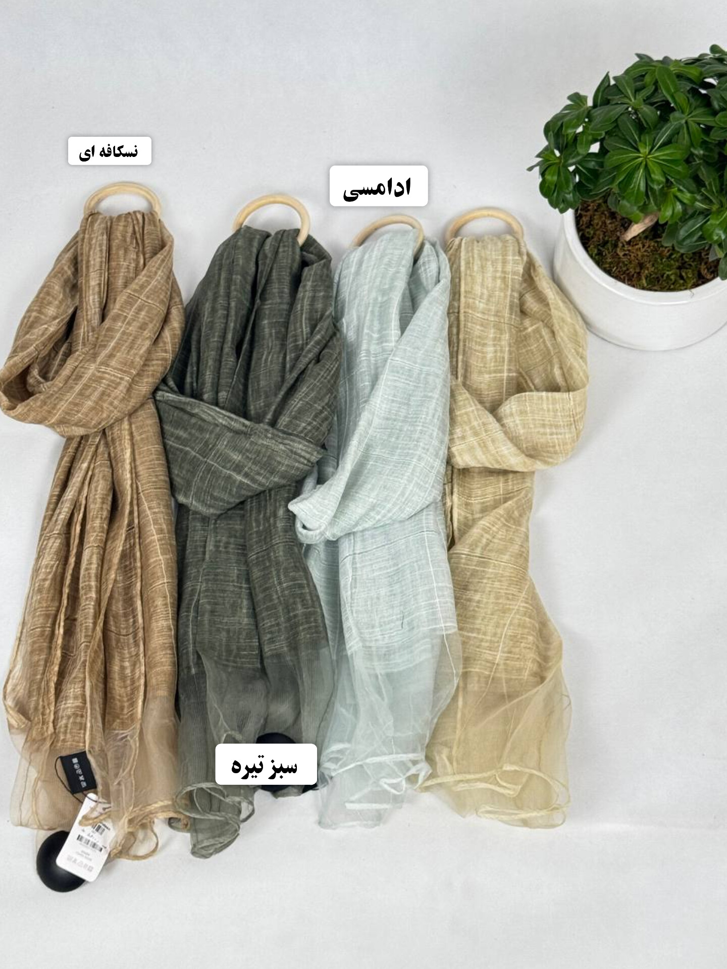 شال مجلسی اورگانزا پایین حریر